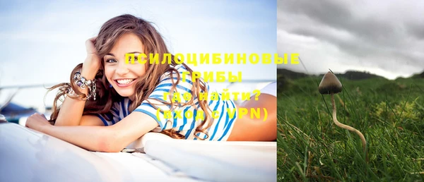 PSILOCYBIN Абинск
