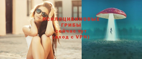 spice Алексеевка