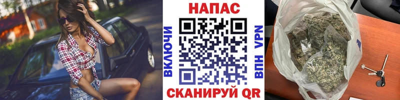 МАРИХУАНА сатива  продажа наркотиков  Киренск 